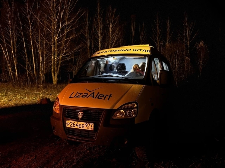 В Тульской области «ЛизаАлерт» нашла живыми 34 человека, потерявшихся в декабре