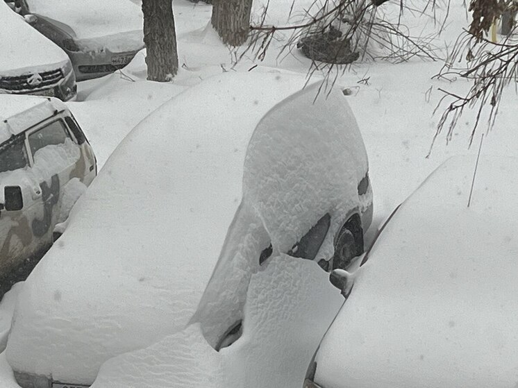«Белые скульптуры»: брошенные под снегом машины мешают уборке во дворах Оренбурга