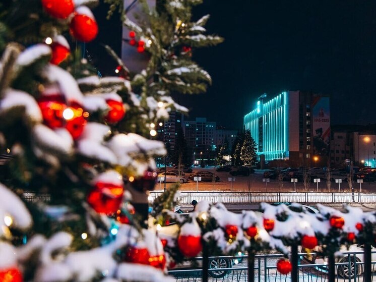 В Тюмени из-за штормового предупреждения городские службы перевели в режим повышенной готовности