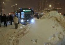 Последние дни стали настоящим испытанием для жителей Московской области