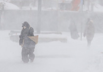 Первая неделя января в России устроила нам встречу с настоящей зимой