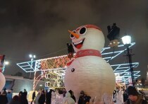 Новогодние площадки Екатеринбурга посетили более 945 тысяч гостей и местных жителей