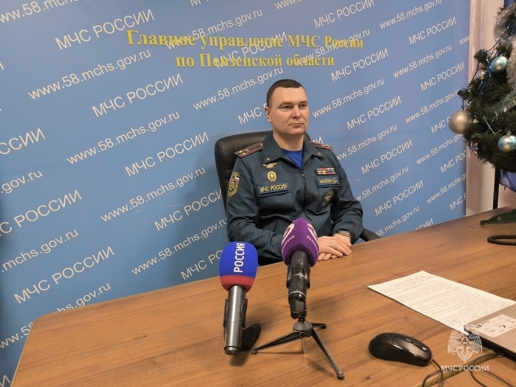 Четыре человека погибли в пожарах в Пензенской области за новогодние праздники