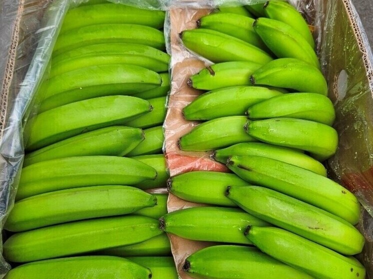 Бананы из Латинской Америки хлынули в Петербург в 2025 году