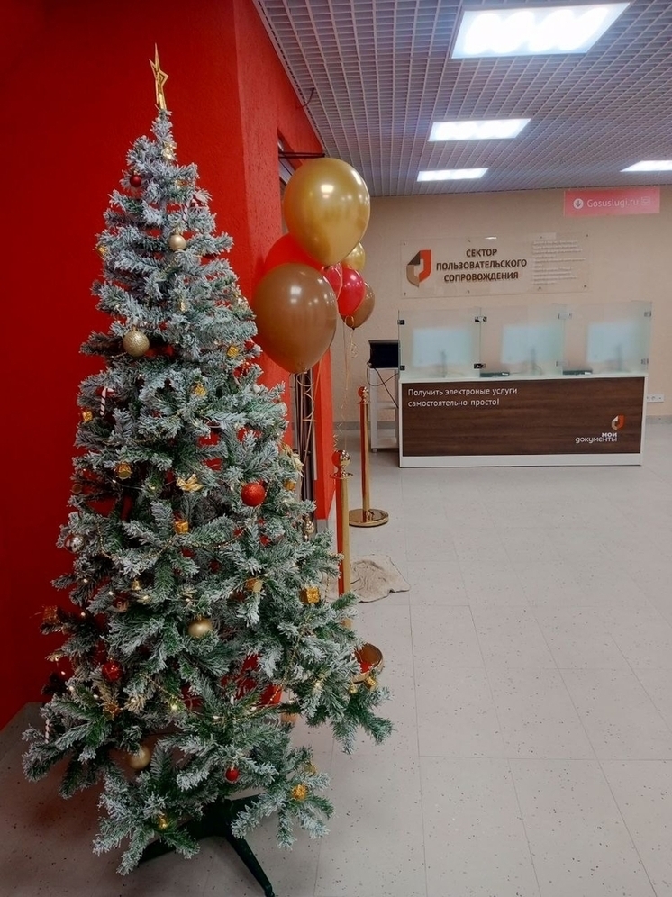 В Самаре 12 января временно приостановили работу отделений МФЦ по техпричинам