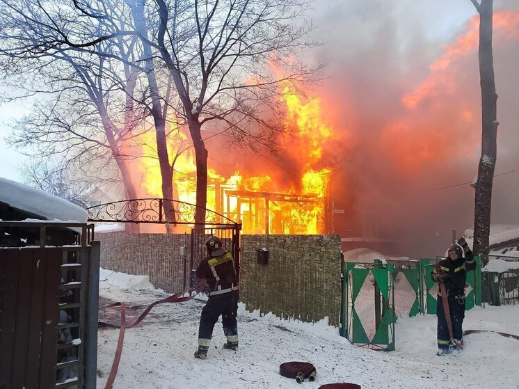 За 12 дней 2026 года на пожарах в Ленобласти погибли 12 человек