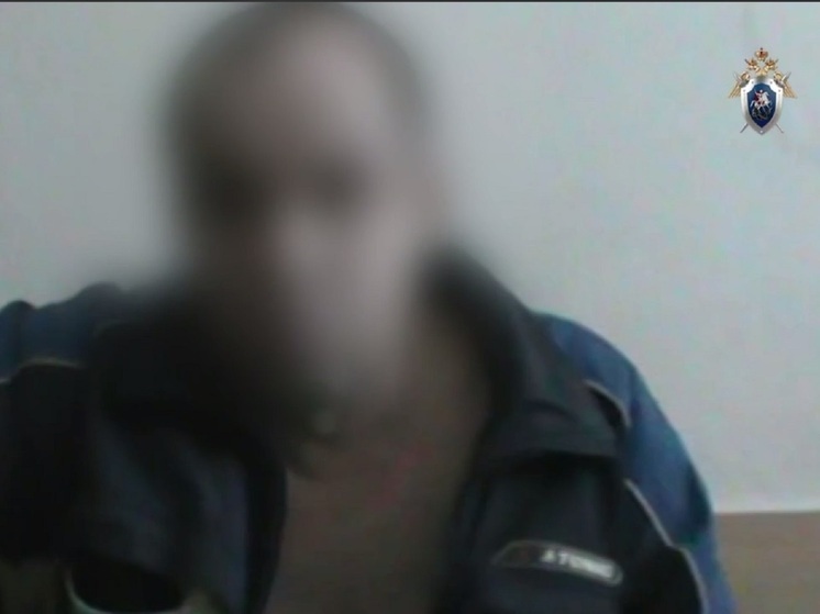 Курганец обвиняется в убийстве сожительницы в новогодние праздники