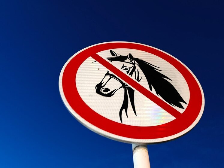 В Ломоносовском районе по недосмотру матери лошадь лягнула 2-летнюю девочку