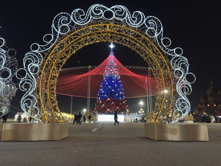 Тульскую область в новогодние праздники посетило 107 тысяч туристов и гостей