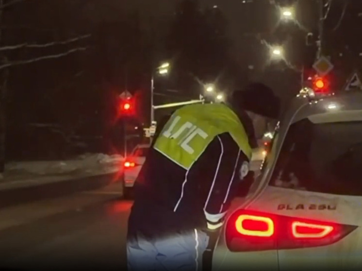 В Ярославской области  за новогодние праздники поймано 135 нетрезвых водителей