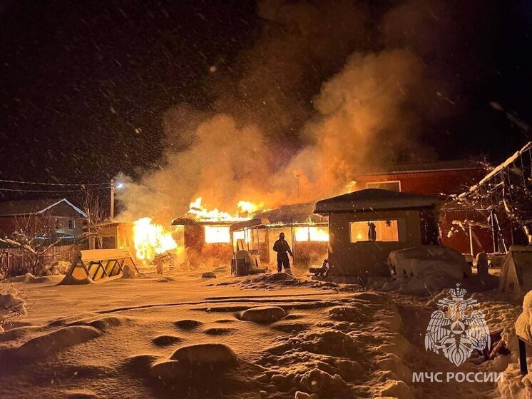 В Тосненском районе сгорели два строения под общей крышей