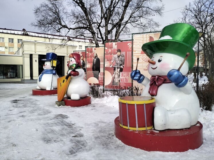 Метель и ветер до 27 м/с: какая погода ждёт сахалинцев 13 января