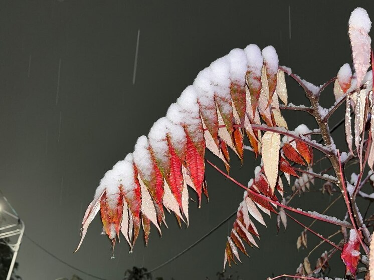 Саратовские синоптики сообщили, когда закончатся снегопады