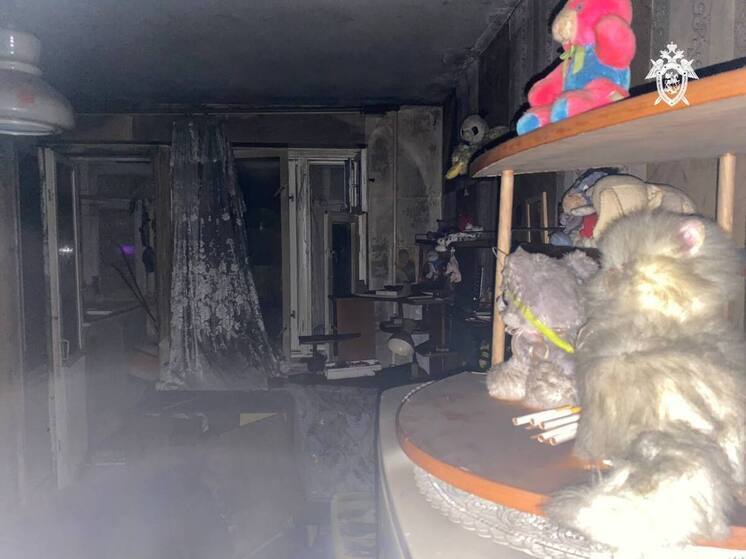 Следствие выясняет обстоятельства гибели двух человек при пожаре в Канаше