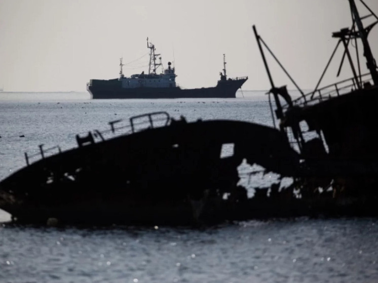 В 2026 году из акватории Южно-Курильской бухты поднимут 14 затонувших судов