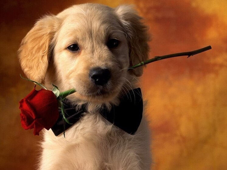 Дни рождения 13 января