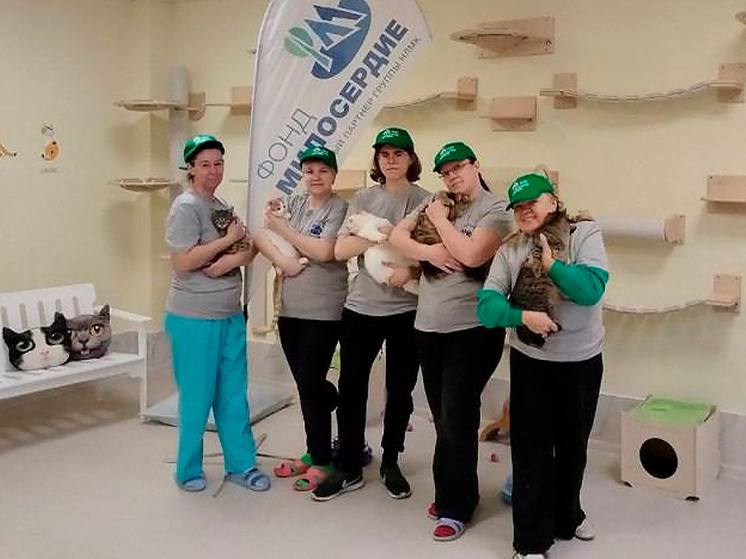 Липецкий приют для усатых товарищей получил новое дыхание
