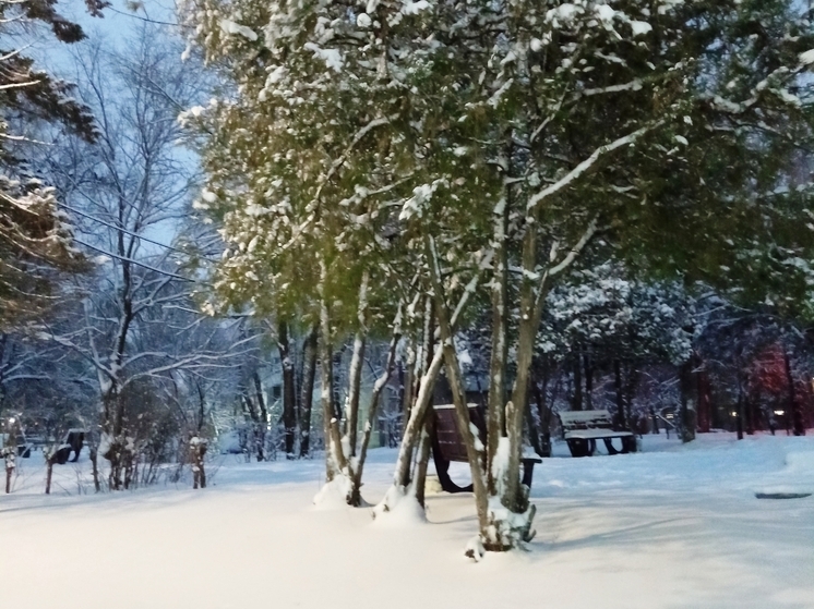 Сила магнитной бури 13 января составит 4 балла: жизнь переходит в медленный темп