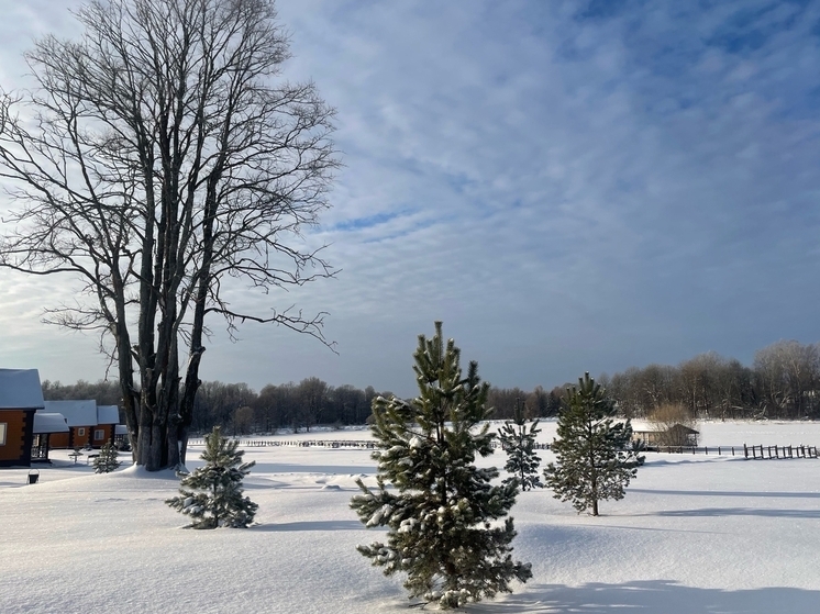 Синоптики рассказали о погоде на 13 января