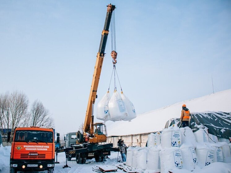 В правительстве Чувашии назвали причину рекордной урожайности зерновых