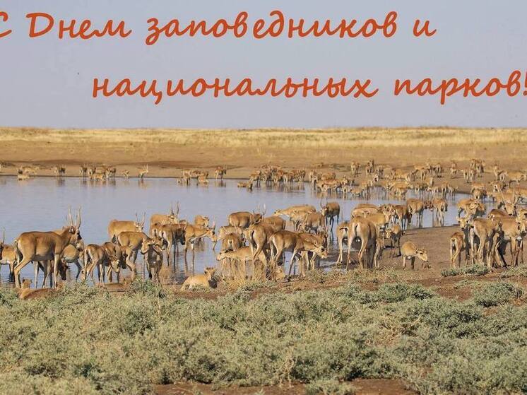 День заповедников и национальных парков отмечают в Калмыкии