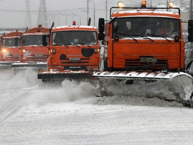 Припарковать машину в первый рабочий день получилось не у всех ярославцев