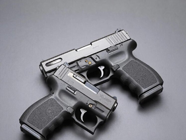 За новогодние праздники у воронежцев изъяли 7 единиц оружия