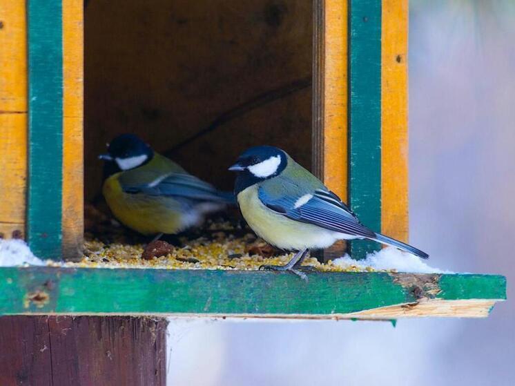 Со вторника на Южном Урале начнется резкое похолодание