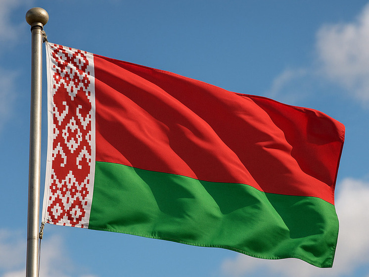 Минобороны Белоруссии сообщает о 16 разведывательных вылетах НАТО у границ страны за 7 дней