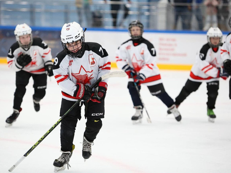 В Пермском крае запустят пилот по возведению полукрытых хоккейных коробок