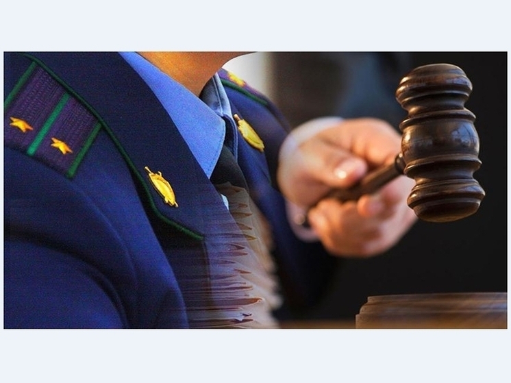 В Прикамье прокуратура проверяет информацию об инциденте при катании в повозке