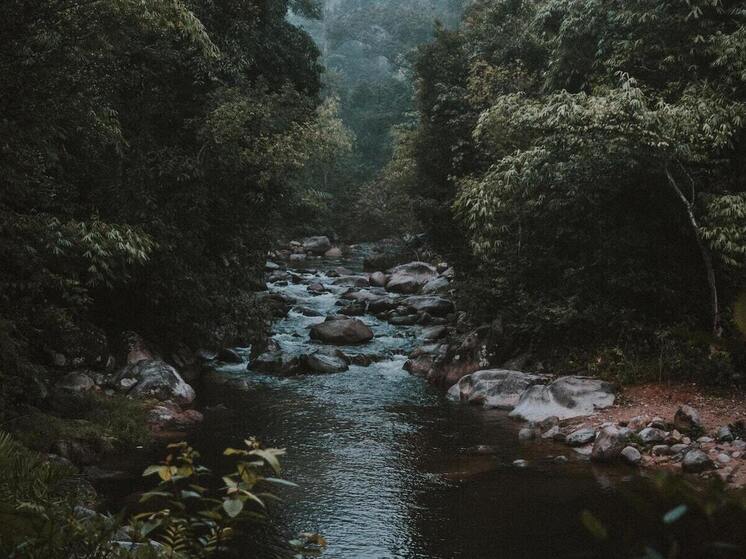 В лесах появятся новые дорожные знаки и полосы отвода