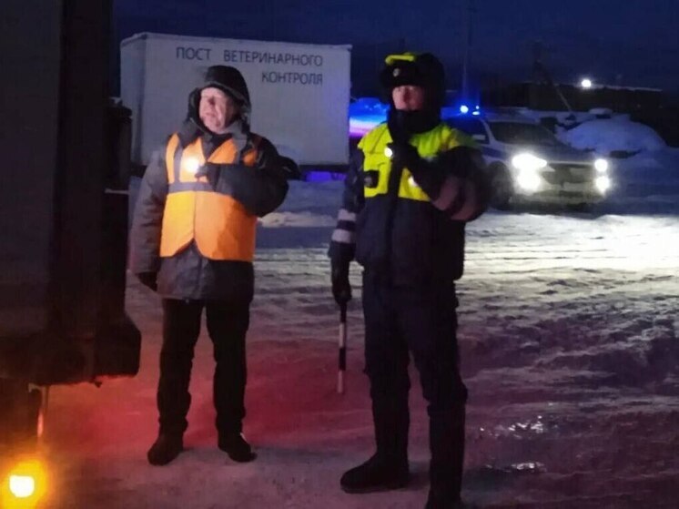 На ветконтрольном посту в Приангарье в январские праздники досмотрели более 940 автомобилей