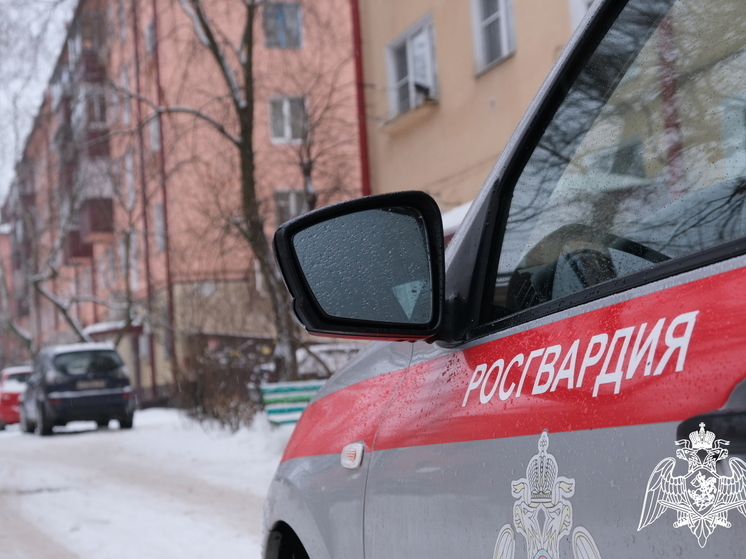 Курские росгвардейцы задержали четырёх человек, подозреваемых в совершении преступлений