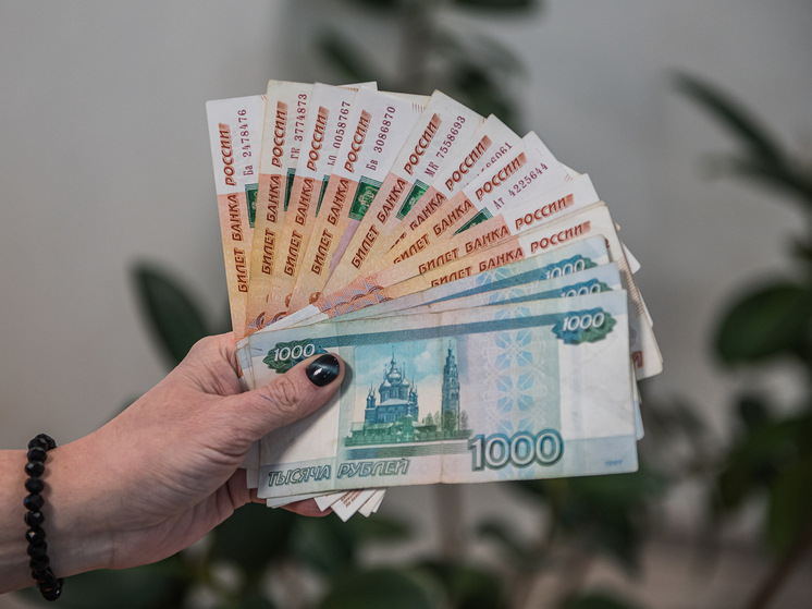 Для максимальной пенсии в 2026 году новосибирцам потребуется доход свыше 240 тыс рублей в месяц