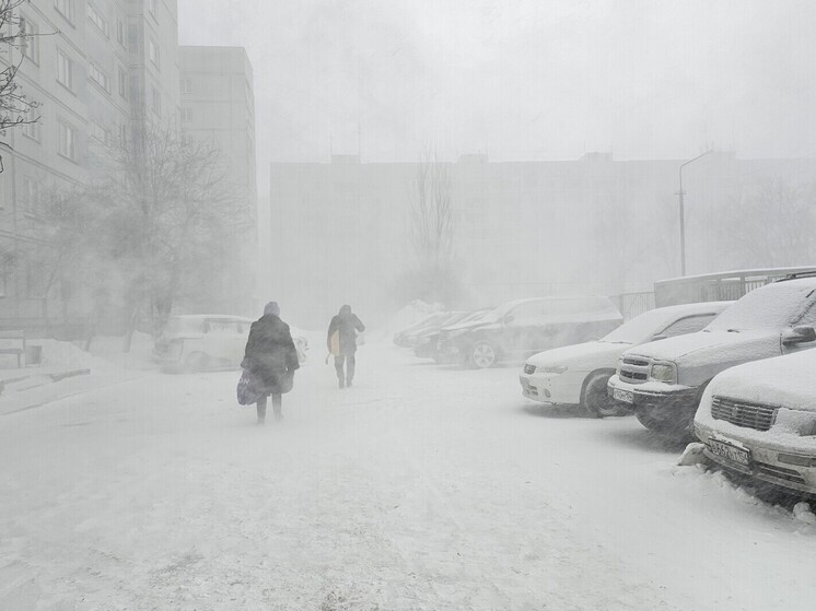 Школьникам Новосибирска рекомендуют не ходить на учёбу из-за морозов