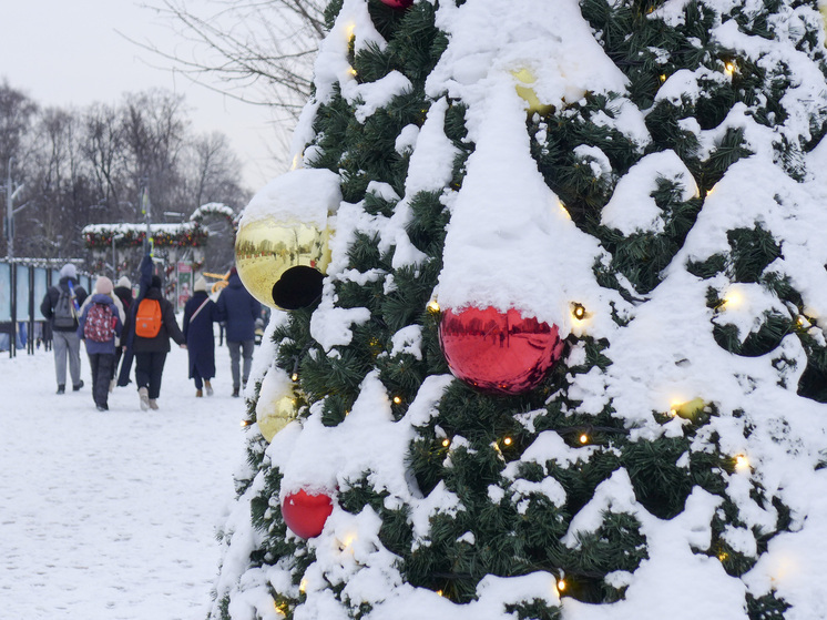 Синоптики: на Новосибирскую область надвигаются 40-градусные морозы