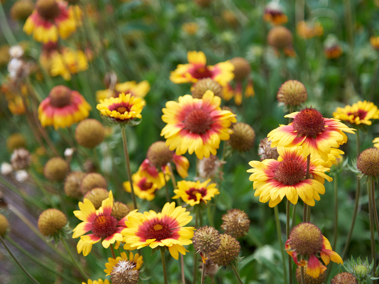 Как спланировать отпуск в 2026 году: эксперты назвали лучшие месяцы для долгого отдыха и высоких выплат