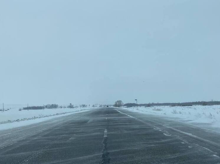 В Алтайском крае из-за метели перекрыли две трассы