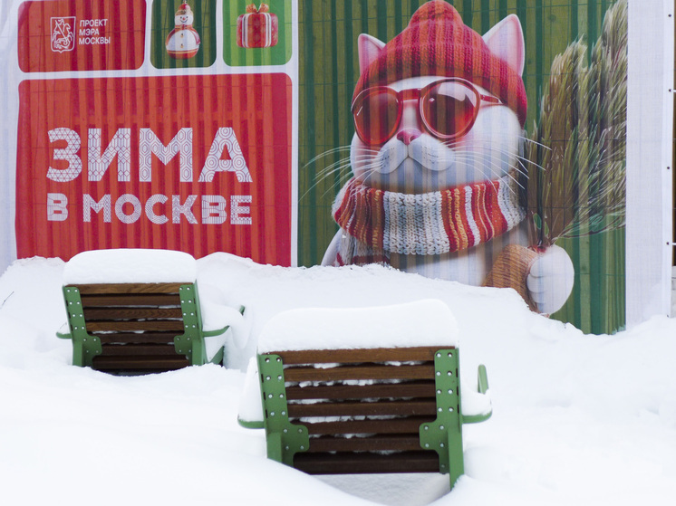 Синоптик Шувалов: в ближайшие дни сильных снегопадов в Москве не будет, но морозы усилятся