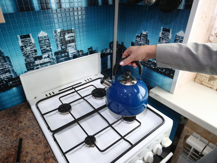 Для волгоградцев останется доступна субсидия на газификацию в 2026 году