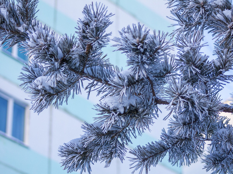 Безопасность в мороз: как правильно одеться и сколько можно находиться на улице