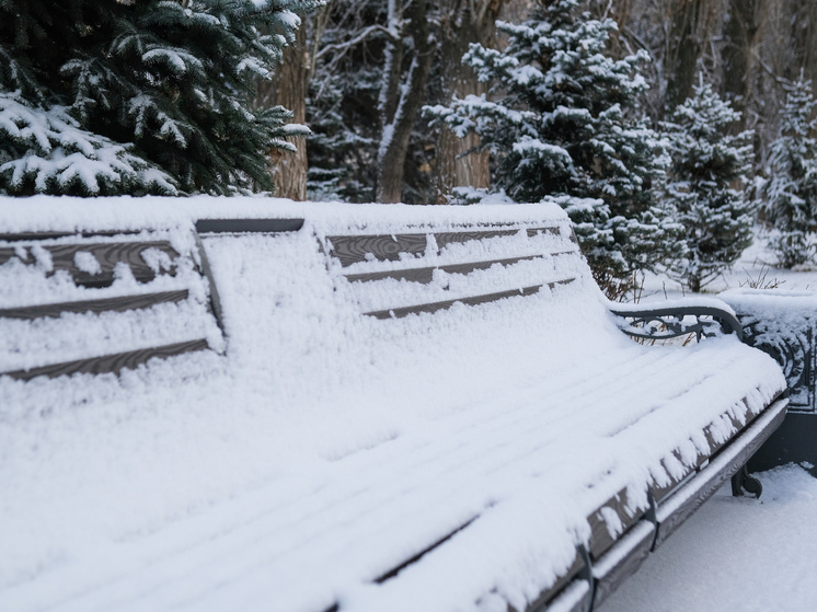 Синоптики пообещали волгоградцам необычно раннюю весну