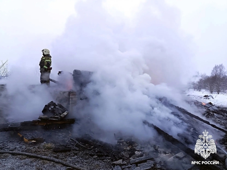 На пожаре в Вологодском округе погиб пенсионер