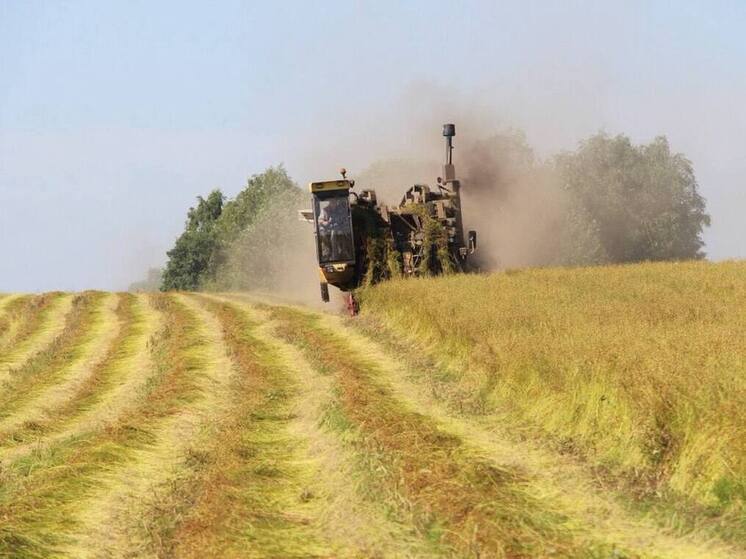 Более 4 млрд рублей получил Алтайский край на развитие сельских территорий