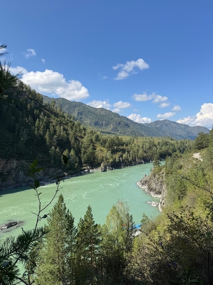 В ДНР с 2023 года расчистили от мусора 95 км рек