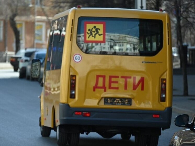 Под Челябинском дети пострадали после столкновения школьного автобуса с погрузчиком