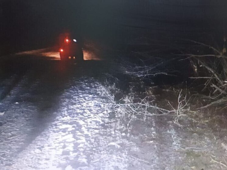 Под Саратовом водитель сбил 12-летнюю школьницу на пешеходном переходе и скрылся