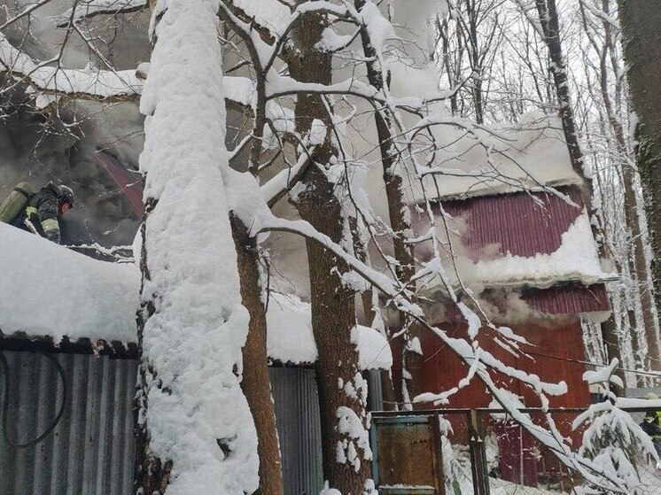 За сутки в Тульской области ликвидировано пять пожаров