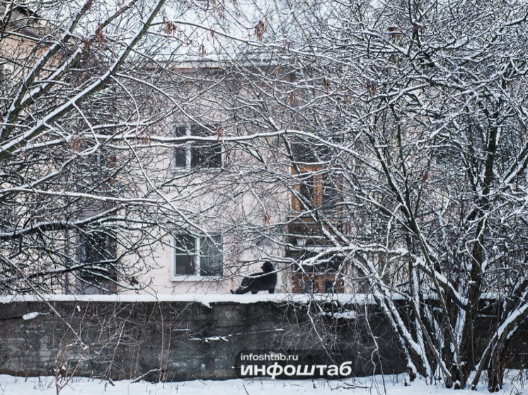 В Астраханской области 13 января ожидаются осадки и гололедица